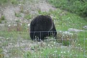 125 - Banff,Lake Louise,Morraine Lake  - IMG_0811